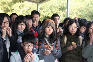 同学们聚精会神地聆听王阿姨的讲述