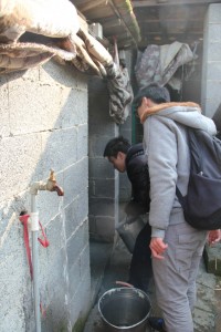 同学们正在用水桶接水冲洗狗舍